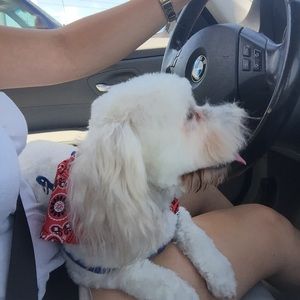 Meet your Posher, Edith